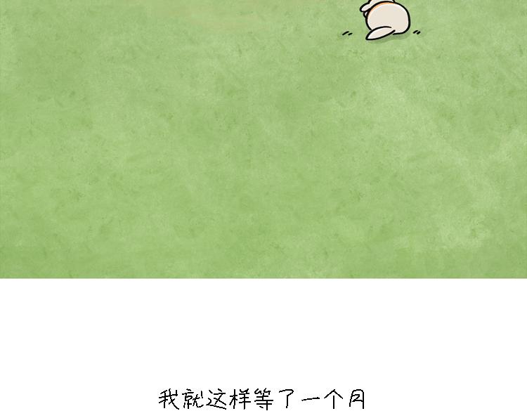 小石头的故事(1/2)-第33话