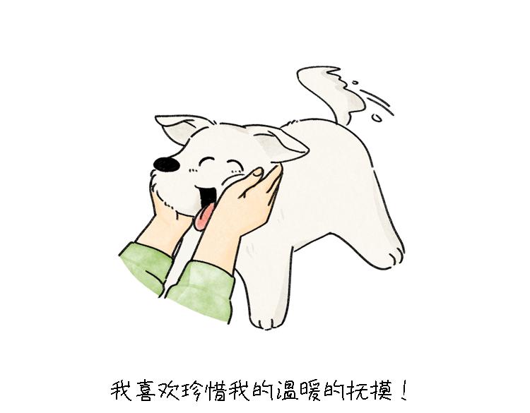 小石头的故事(1/2)-第33话