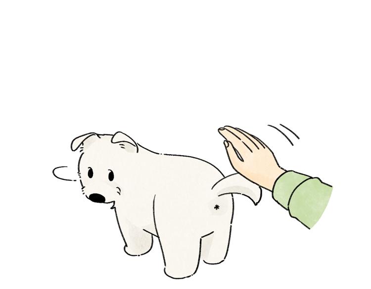 小石头的故事(1/2)-第33话