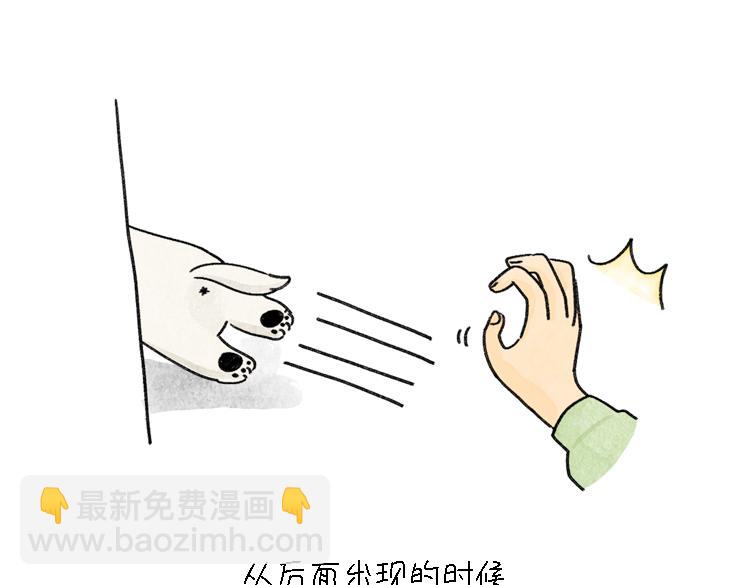 小石头的故事(1/2)-第33话