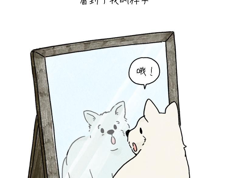 小石头的故事(1/2)-第33话