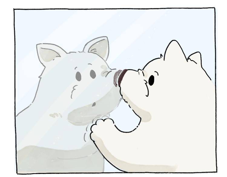 小石头的故事(1/2)-第33话