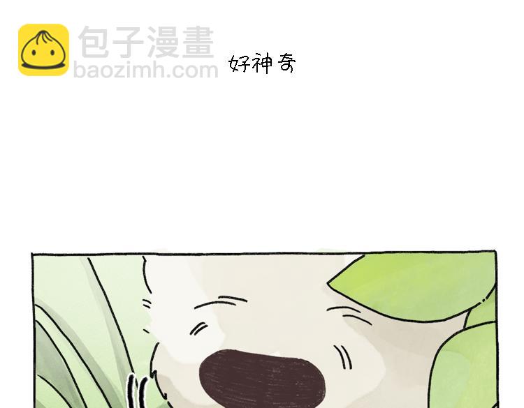 小石头的故事(1/2)-第33话