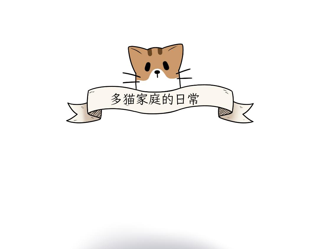 多猫家庭的日常-第5话