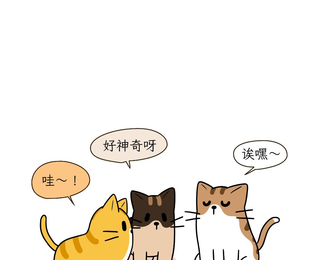 多猫家庭的日常-第5话