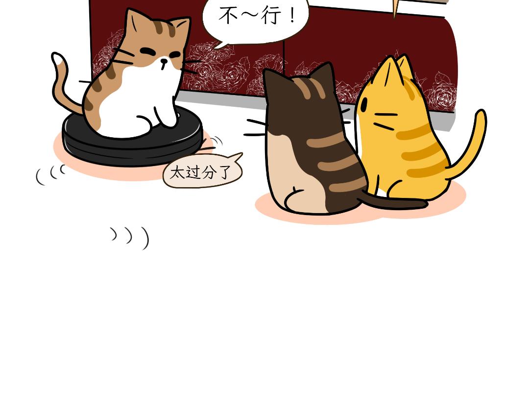 多猫家庭的日常-第5话