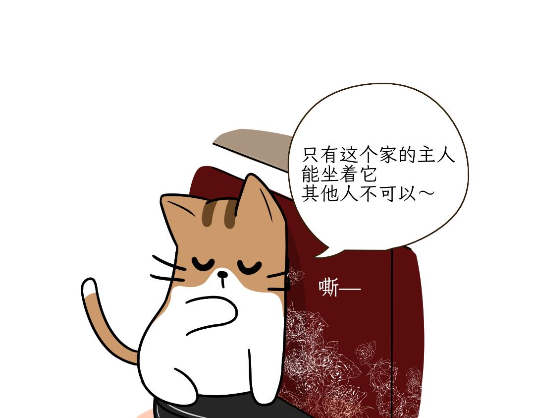 多猫家庭的日常-第5话