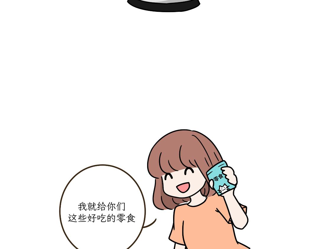 多猫家庭的日常-第5话