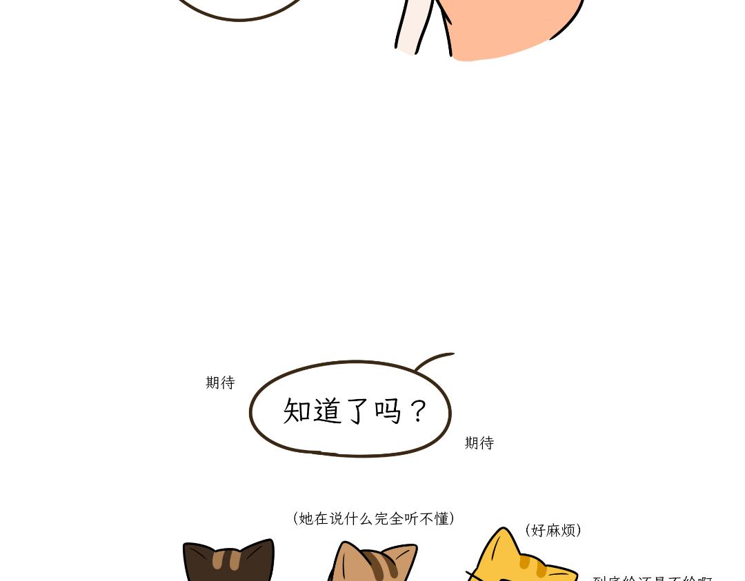 多猫家庭的日常-第5话