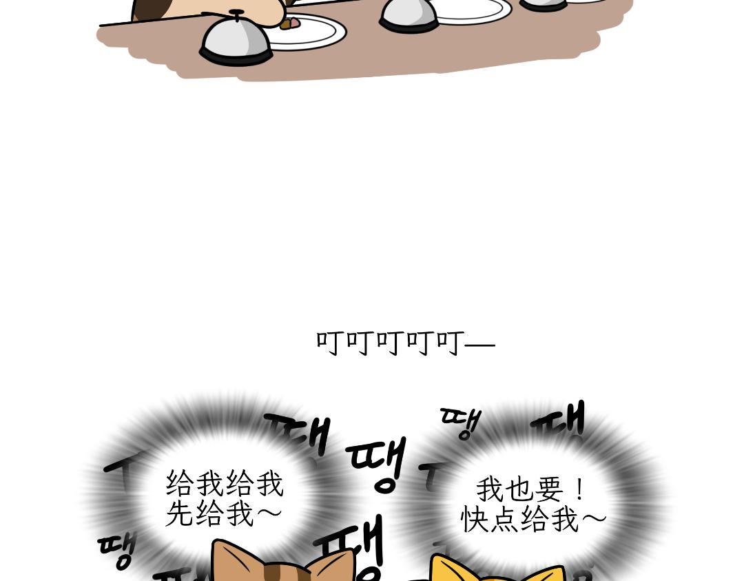 多猫家庭的日常-第5话