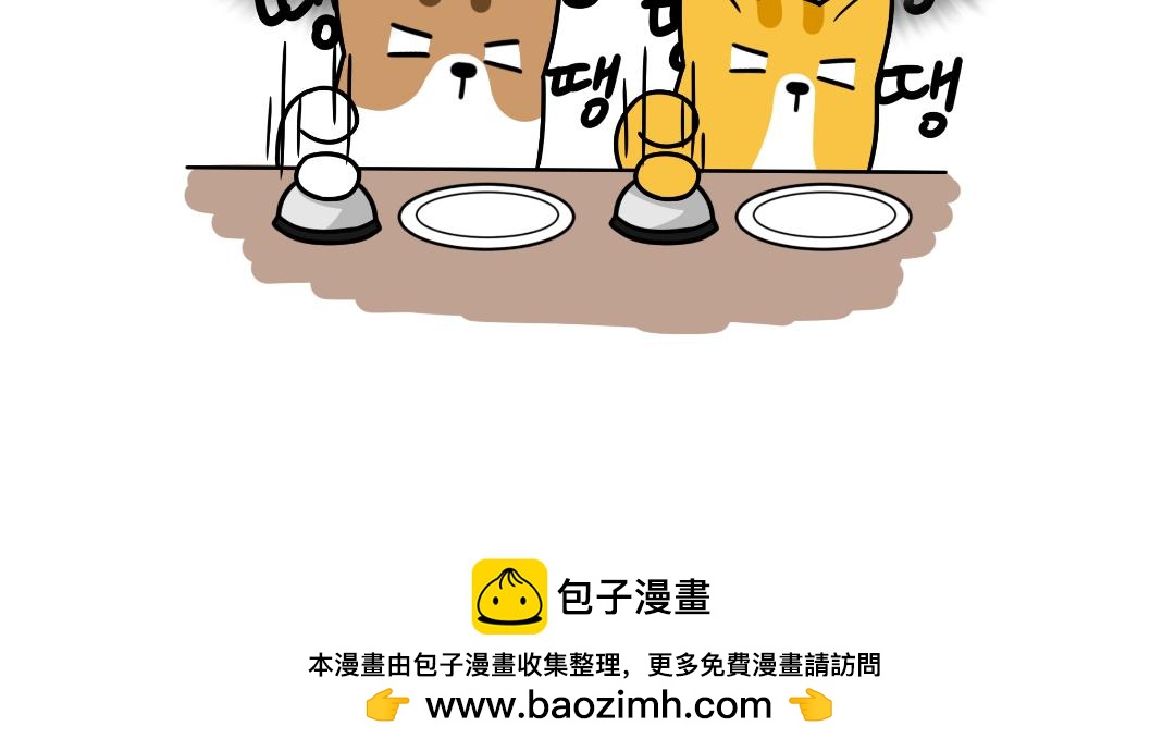 多猫家庭的日常-第5话