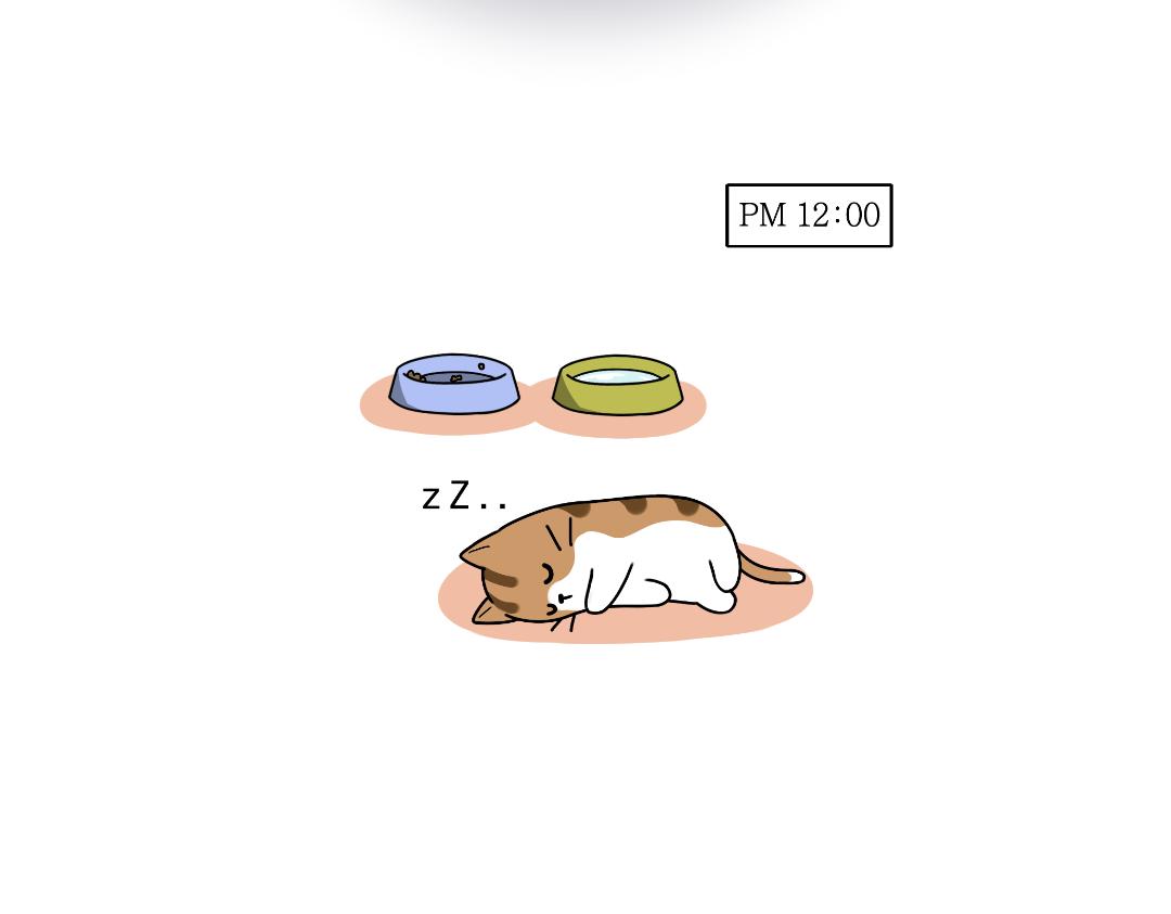 多猫家庭的日常-第5话