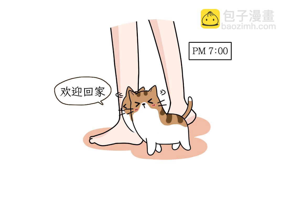 多猫家庭的日常-第5话