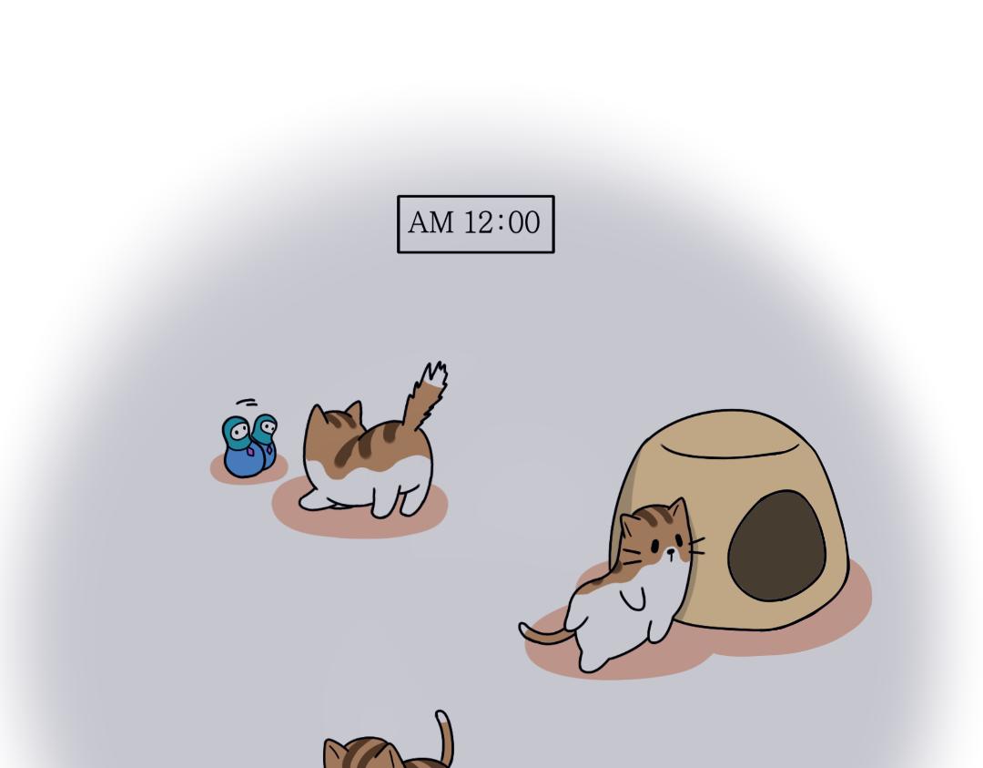 多猫家庭的日常-第5话