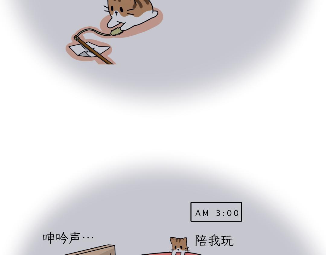 多猫家庭的日常-第5话