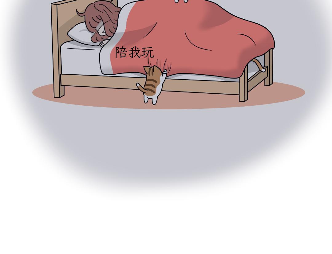 多猫家庭的日常-第5话