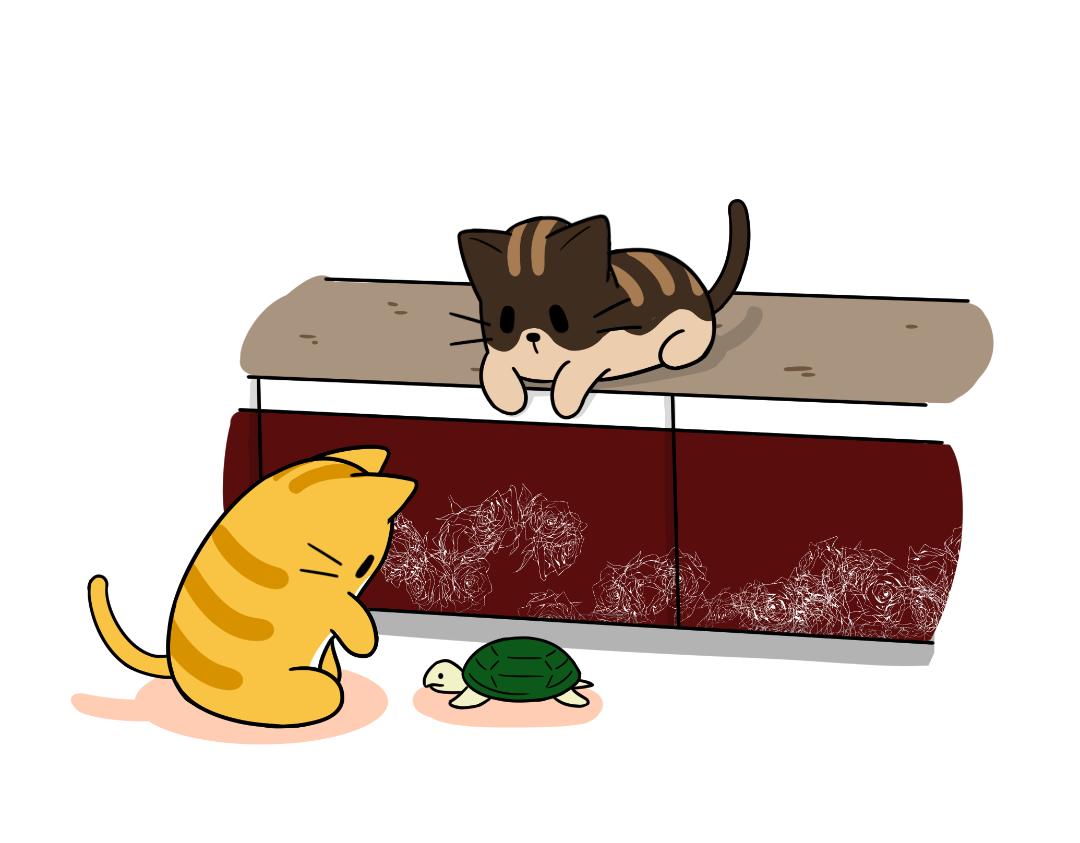 多猫家庭的日常-第5话