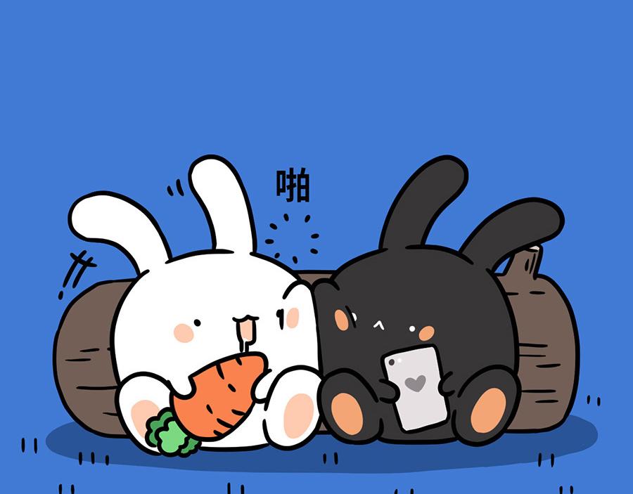 兔兔，貓貓和公主 - 掰筷子 - 4