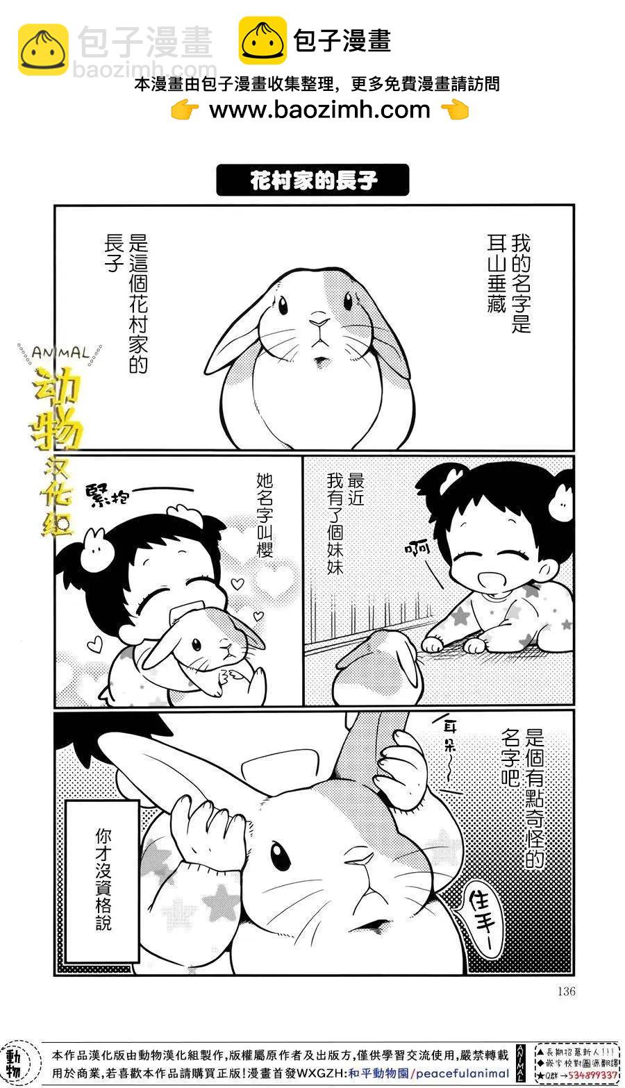 兔子即是正義 - 第25話 - 2
