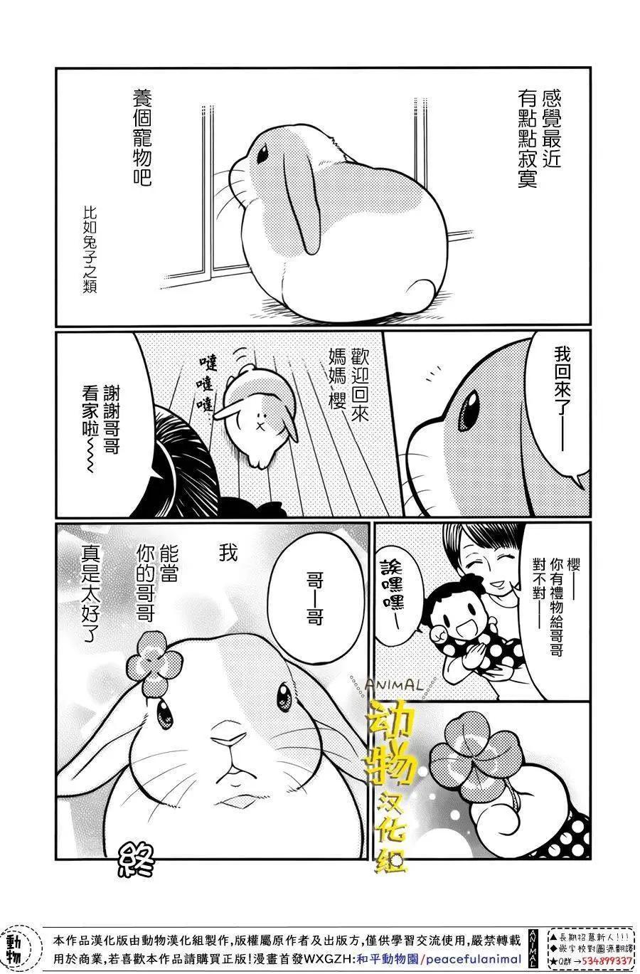 兔子即是正義 - 第25話 - 2