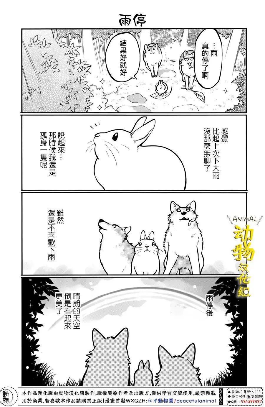 兔子即是正義 - 第27話 - 4