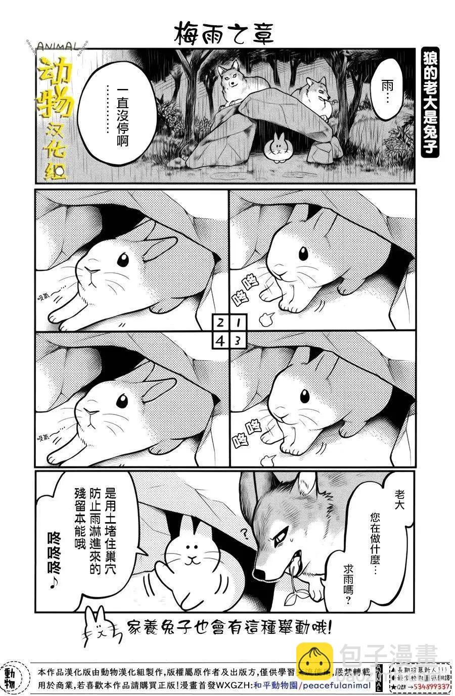 兔子即是正義 - 第27話 - 1