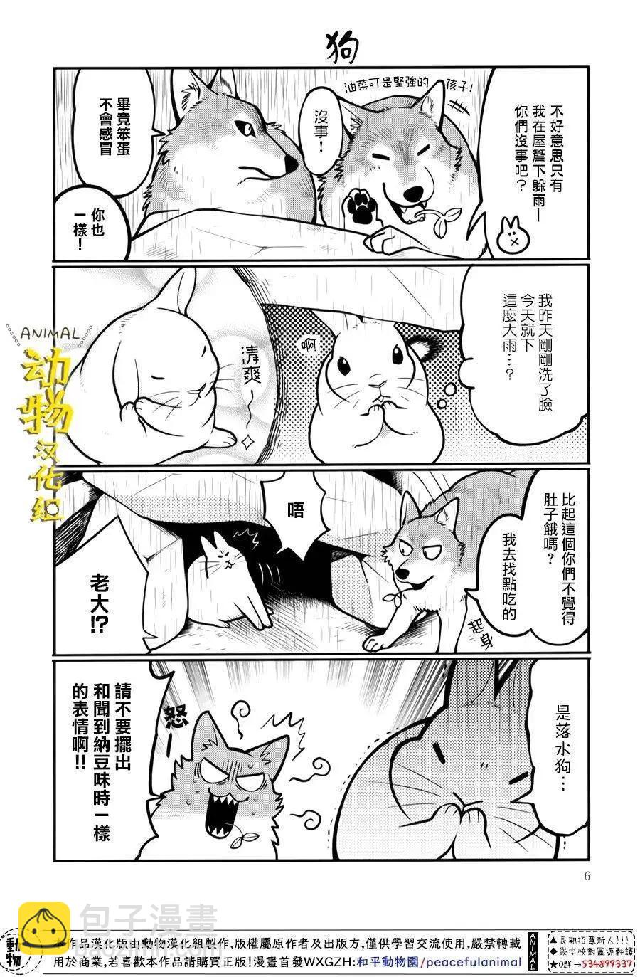 兔子即是正義 - 第27話 - 2