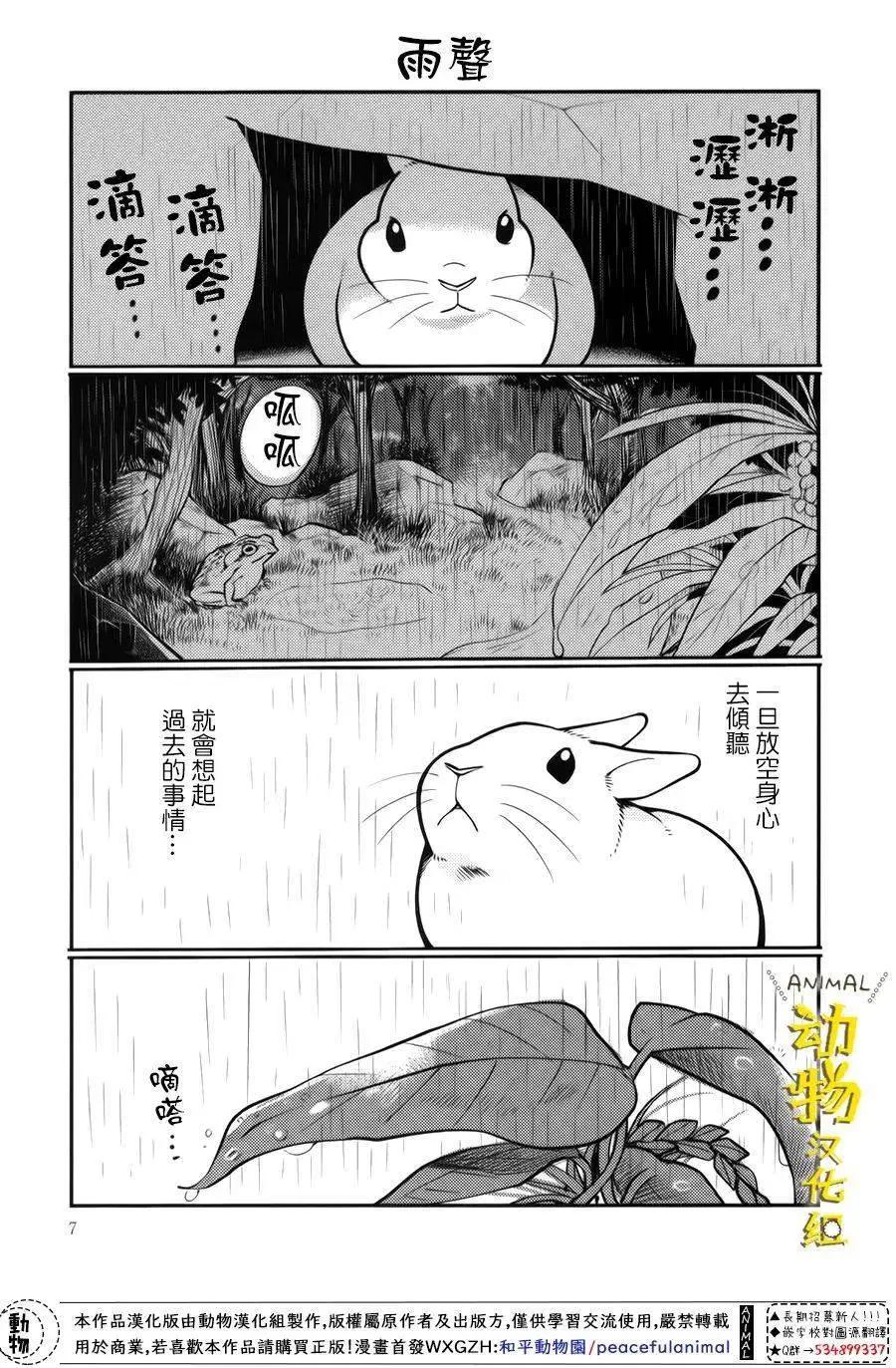 兔子即是正義 - 第27話 - 3