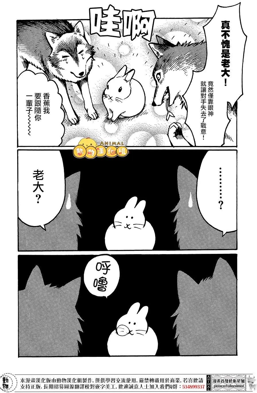 兔子即是正義 - 第05回 - 1