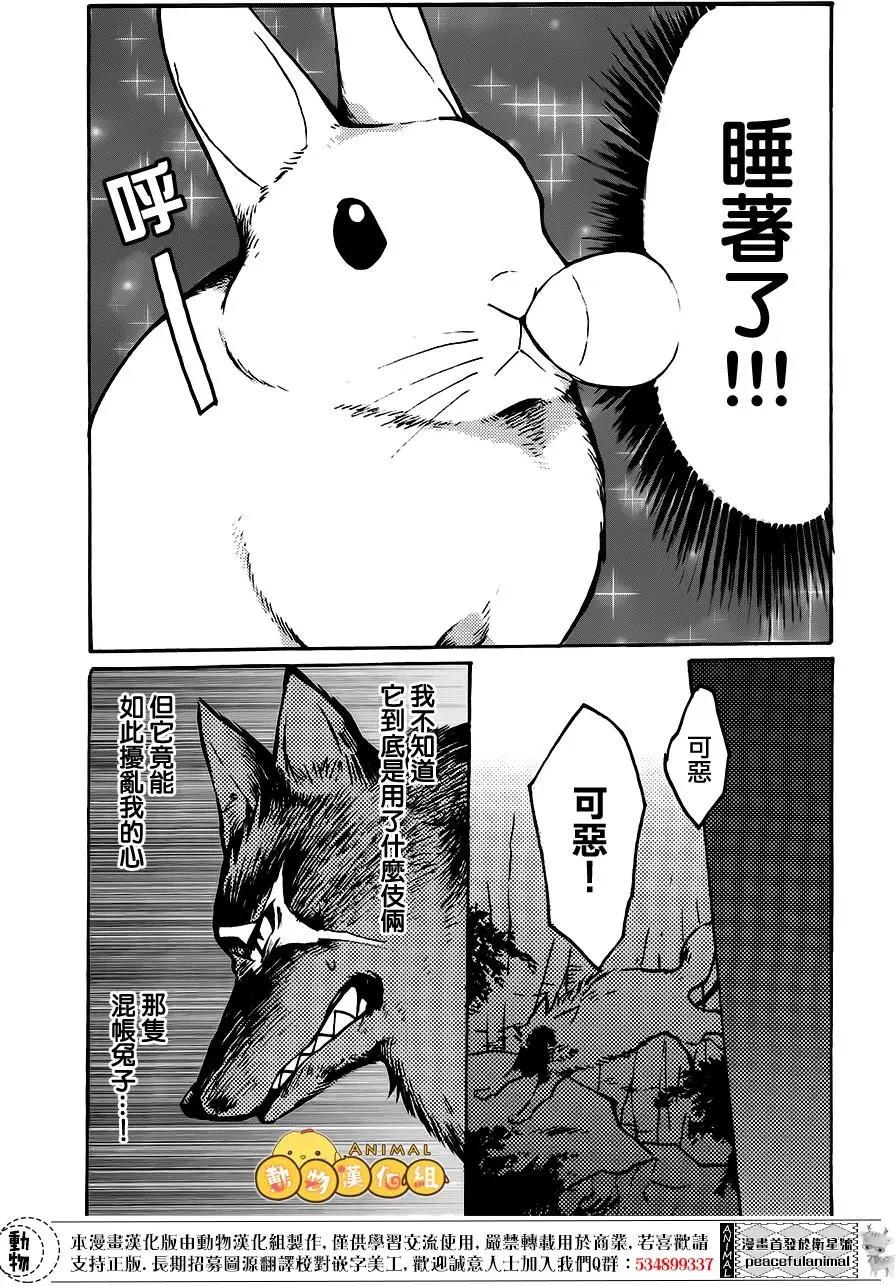 兔子即是正義 - 第05回 - 2