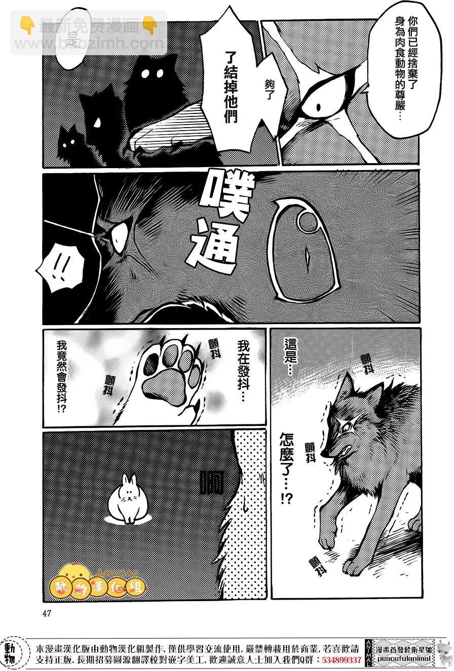 兔子即是正義 - 第05回 - 1