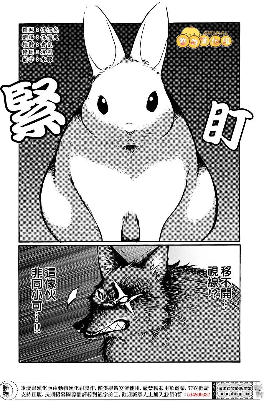 兔子即是正義 - 第05回 - 2