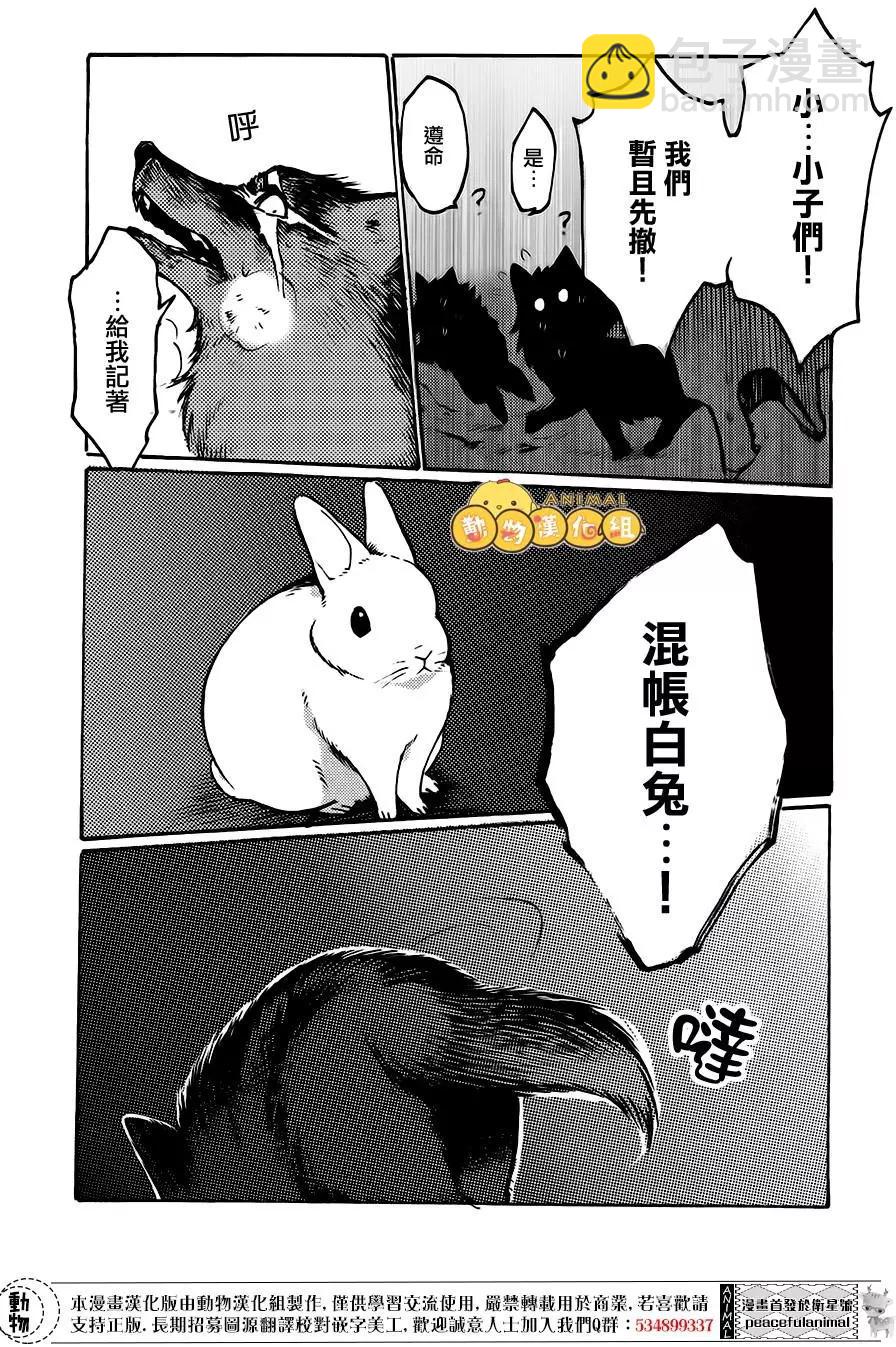 兔子即是正義 - 第05回 - 3