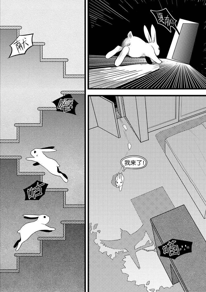 兔子抑鬱怎麼辦 - 03夥伴 - 3
