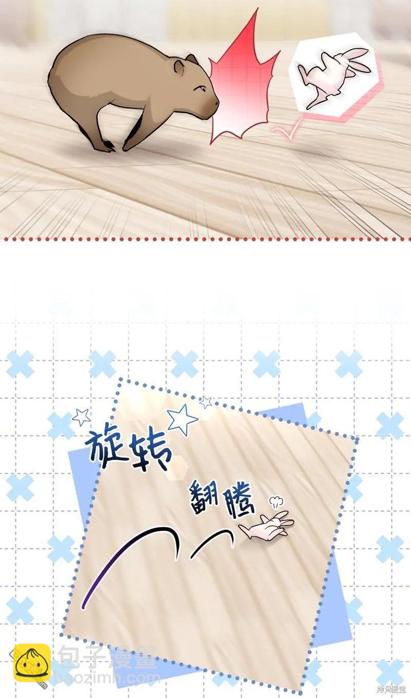 兔子與黑豹的共生關係 - 第123話(2/2) - 1