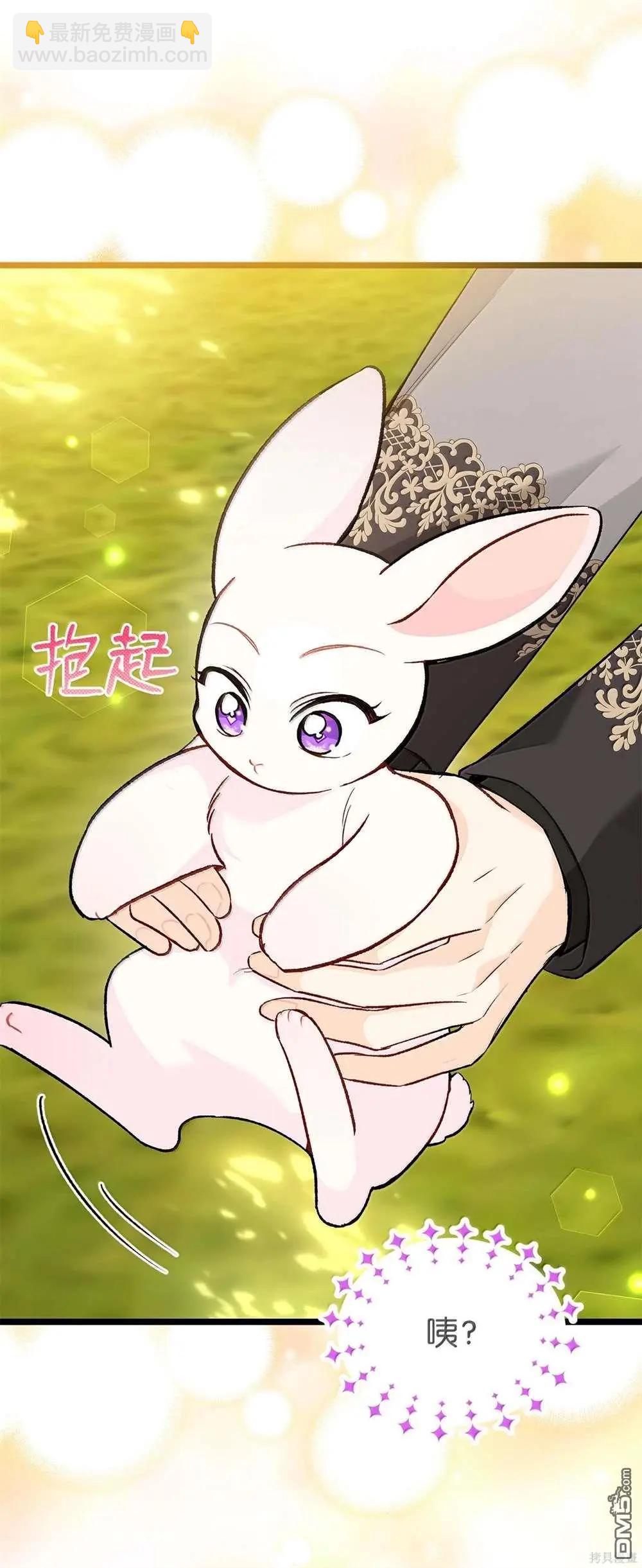 兔子與黑豹的共生關係 - 第127話(2/2) - 5