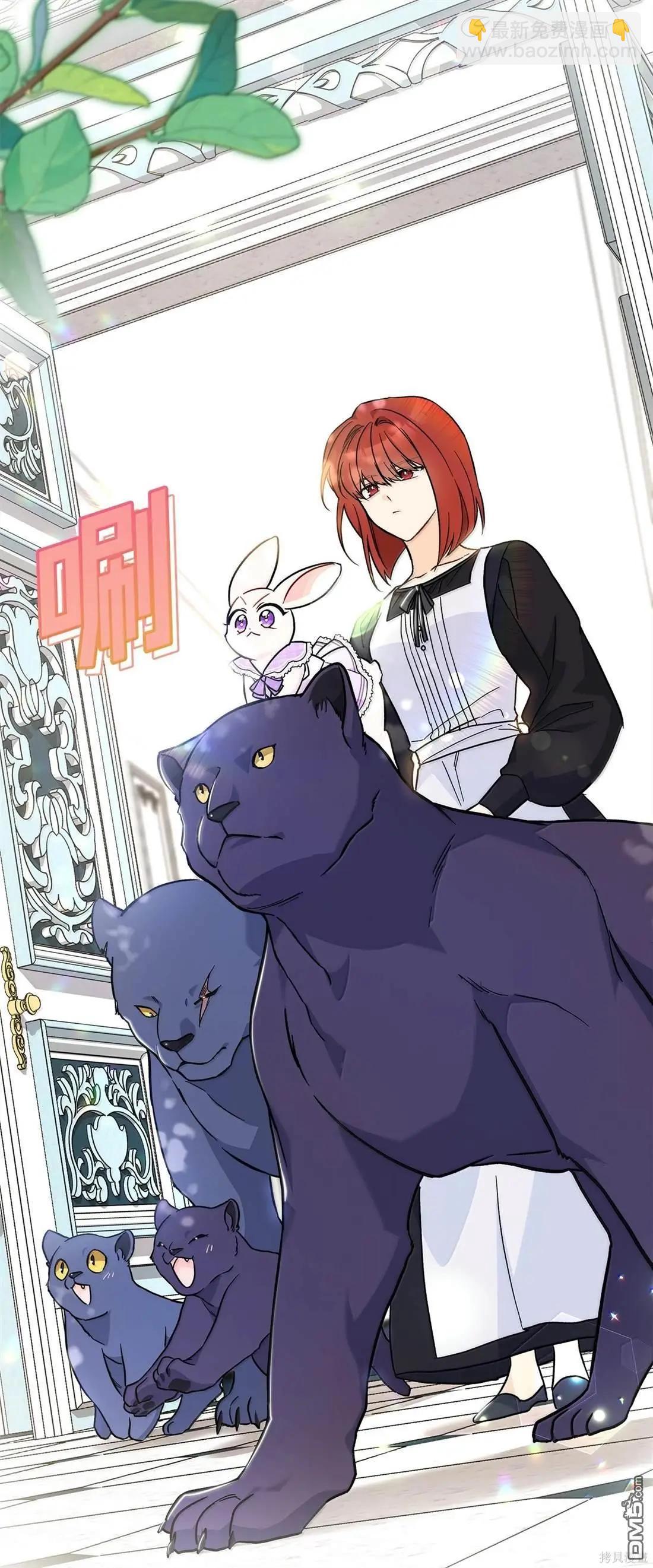 兔子與黑豹的共生關係 - 第135話(1/2) - 3