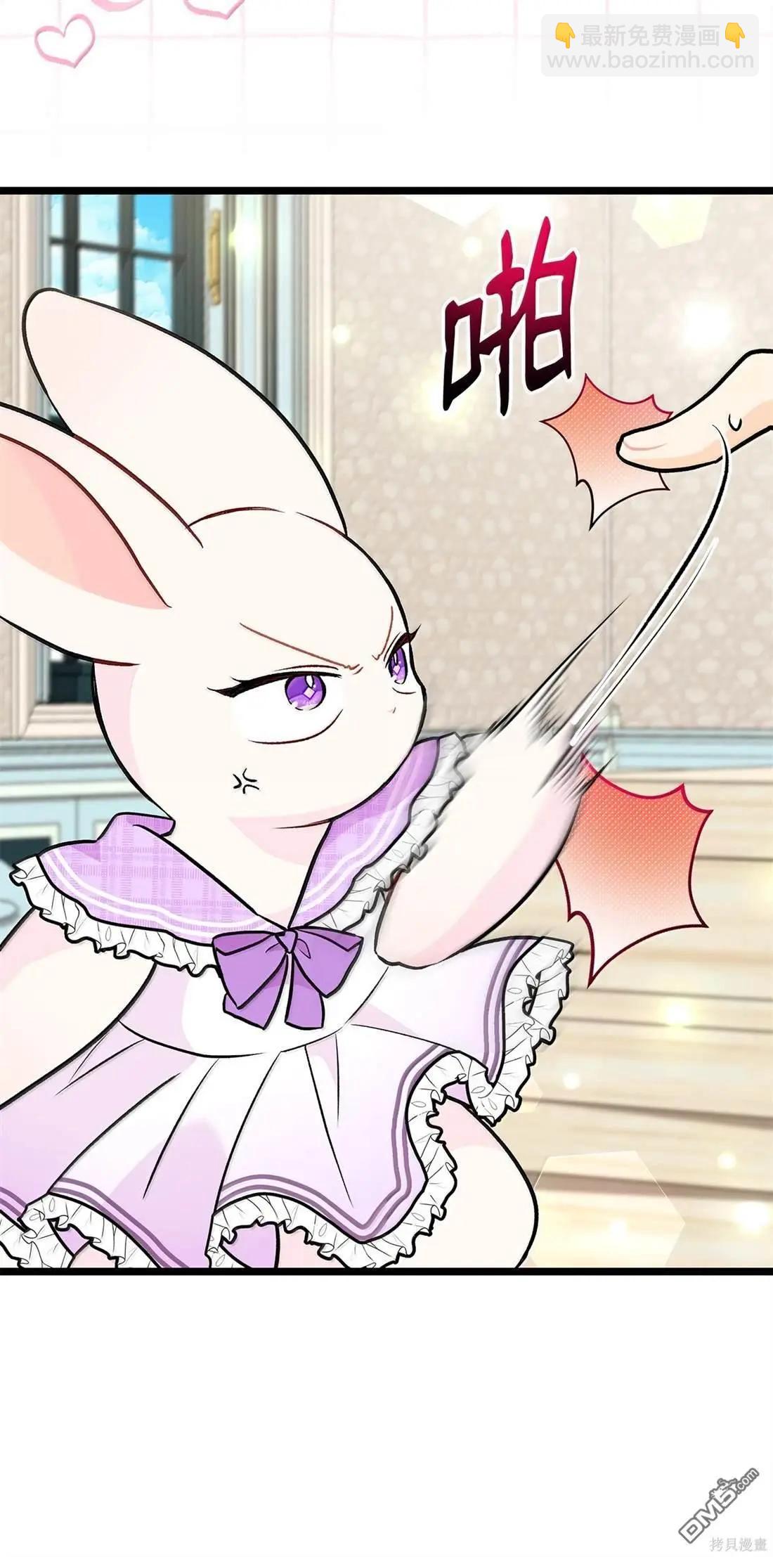 兔子與黑豹的共生關係 - 第135話(2/2) - 6