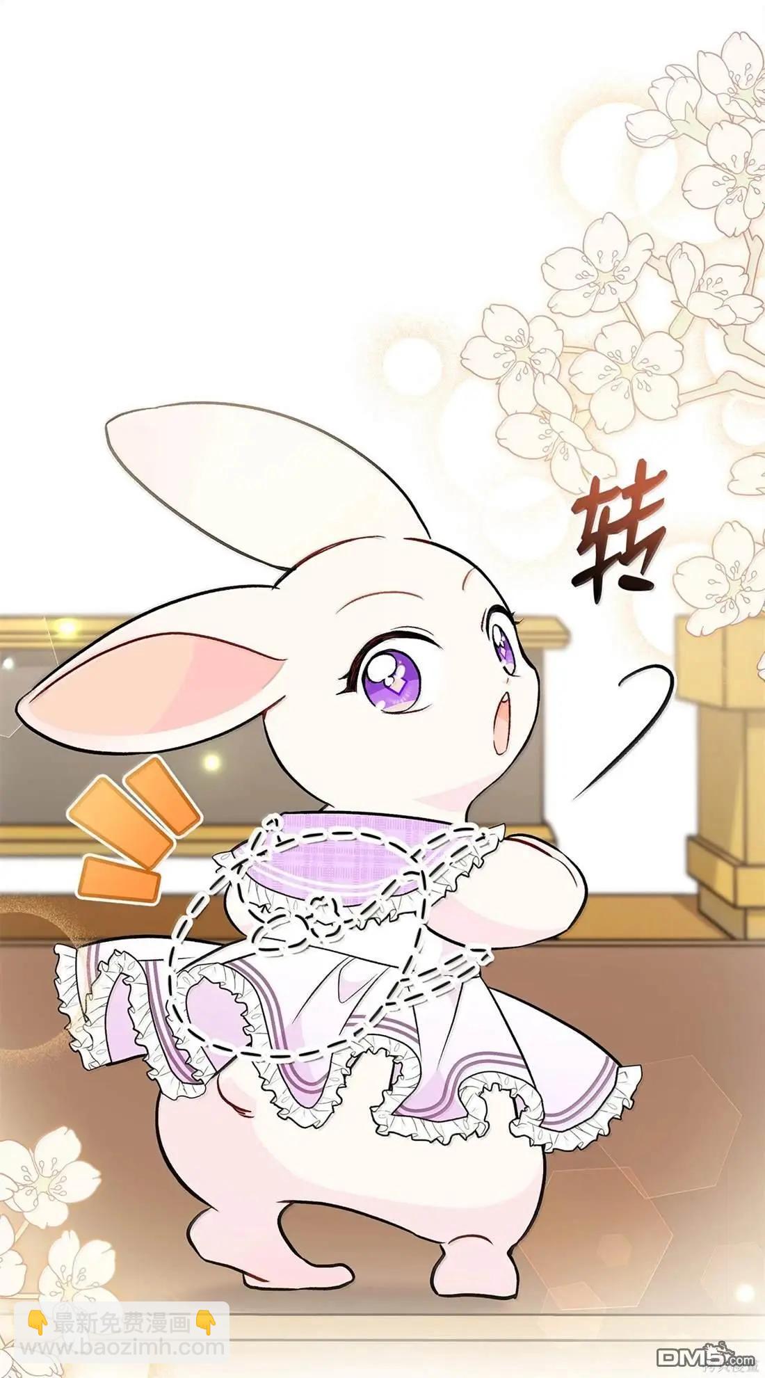 兔子與黑豹的共生關係 - 第135話(2/2) - 4