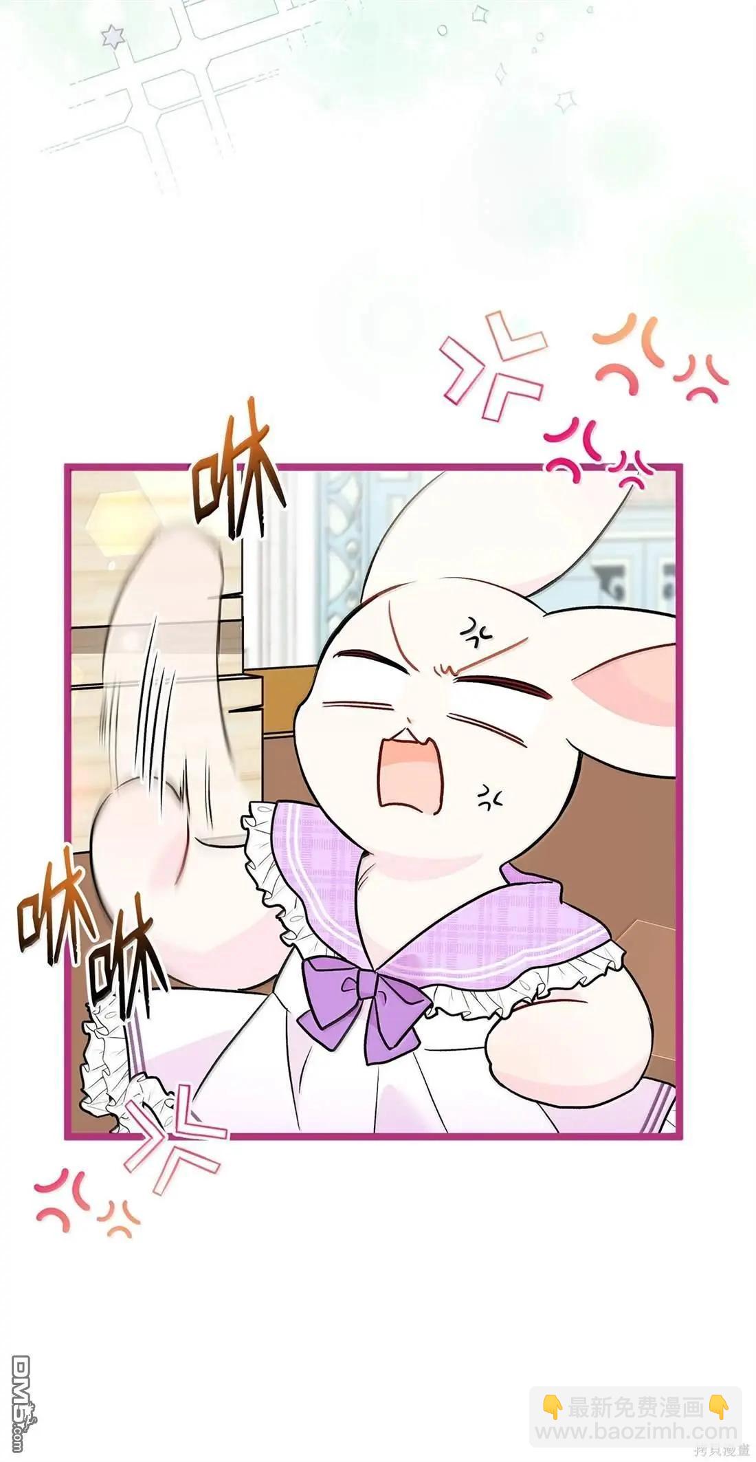 兔子與黑豹的共生關係 - 第135話(2/2) - 1