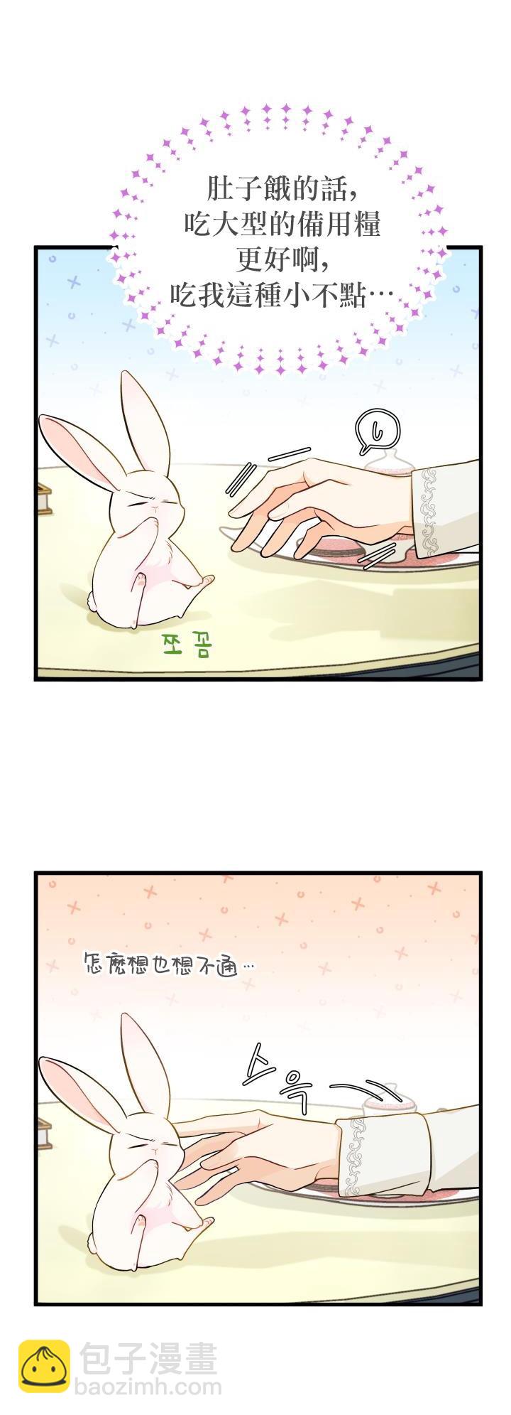 兔子與黑豹的共生關係 - 第15話 - 5