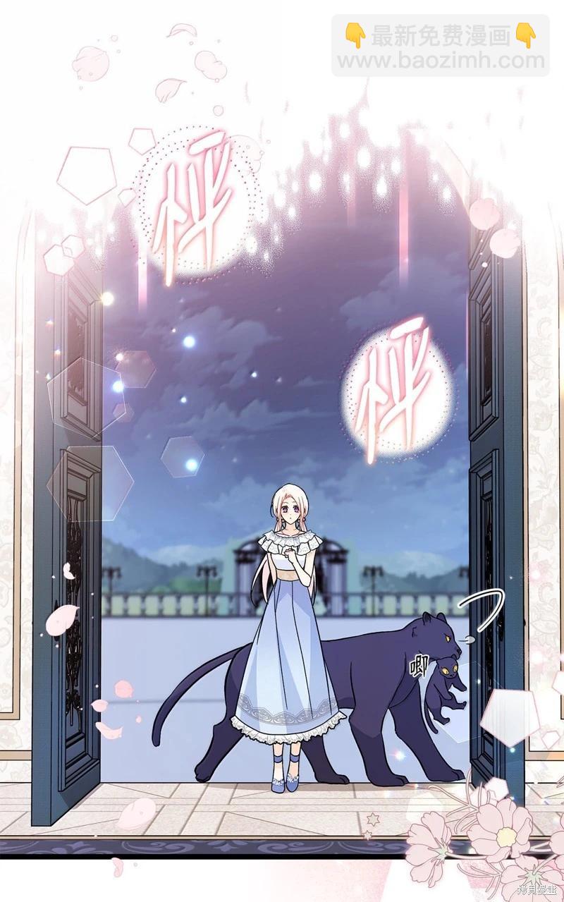 兔子與黑豹的共生關係 - 第143話(1/2) - 4