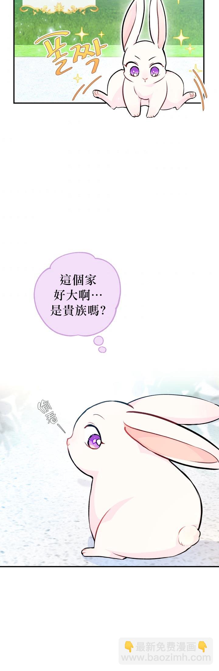 兔子與黑豹的共生關係 - 第03話 - 4