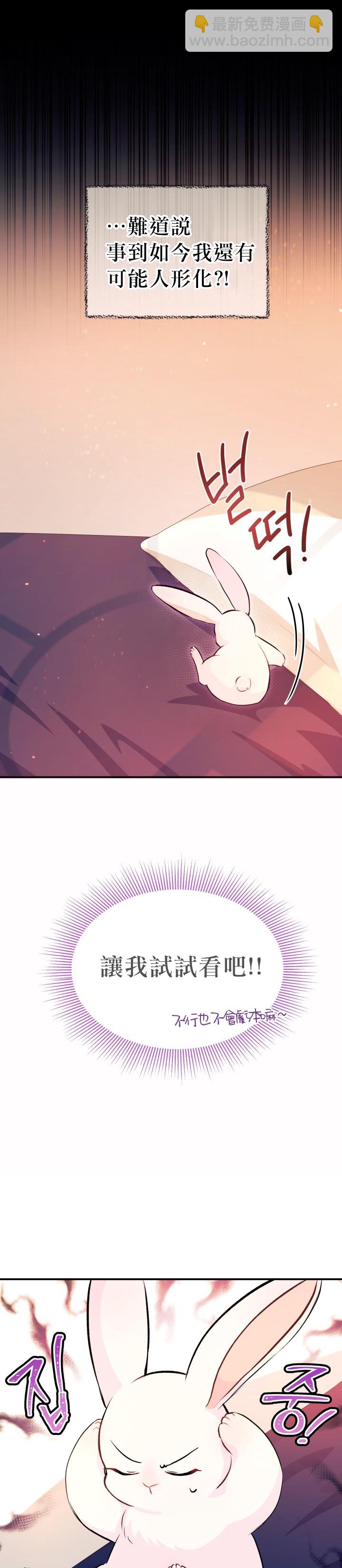 兔子與黑豹的共生關係 - 第05話 - 4