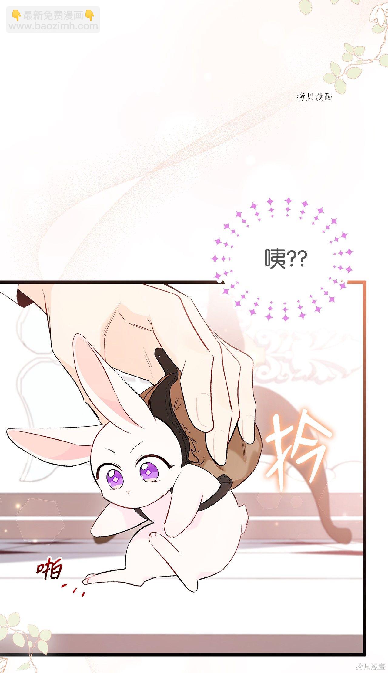 兔子與黑豹的共生關係 - 第59話(1/2) - 5