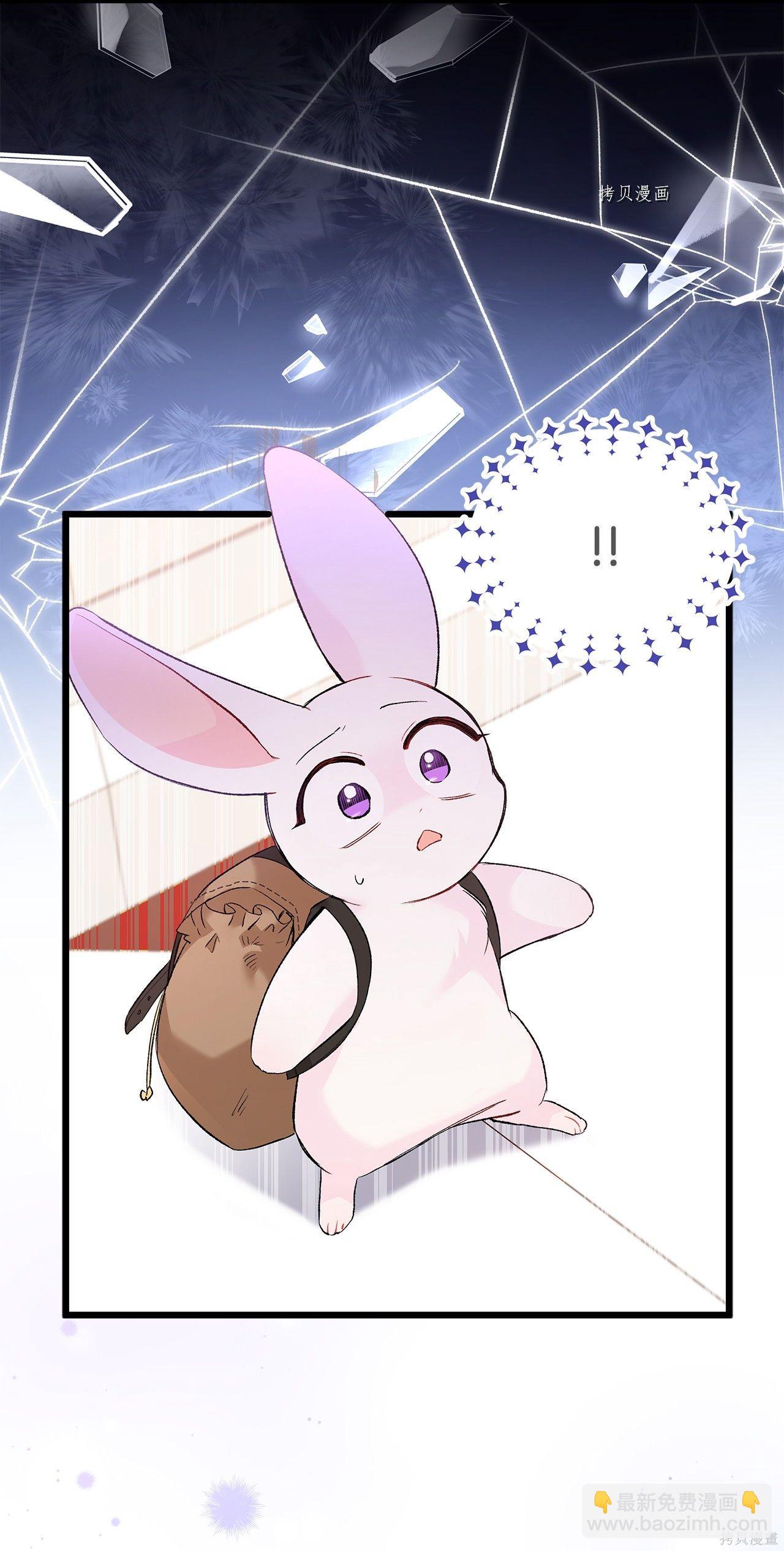 兔子與黑豹的共生關係 - 第59話(1/2) - 8