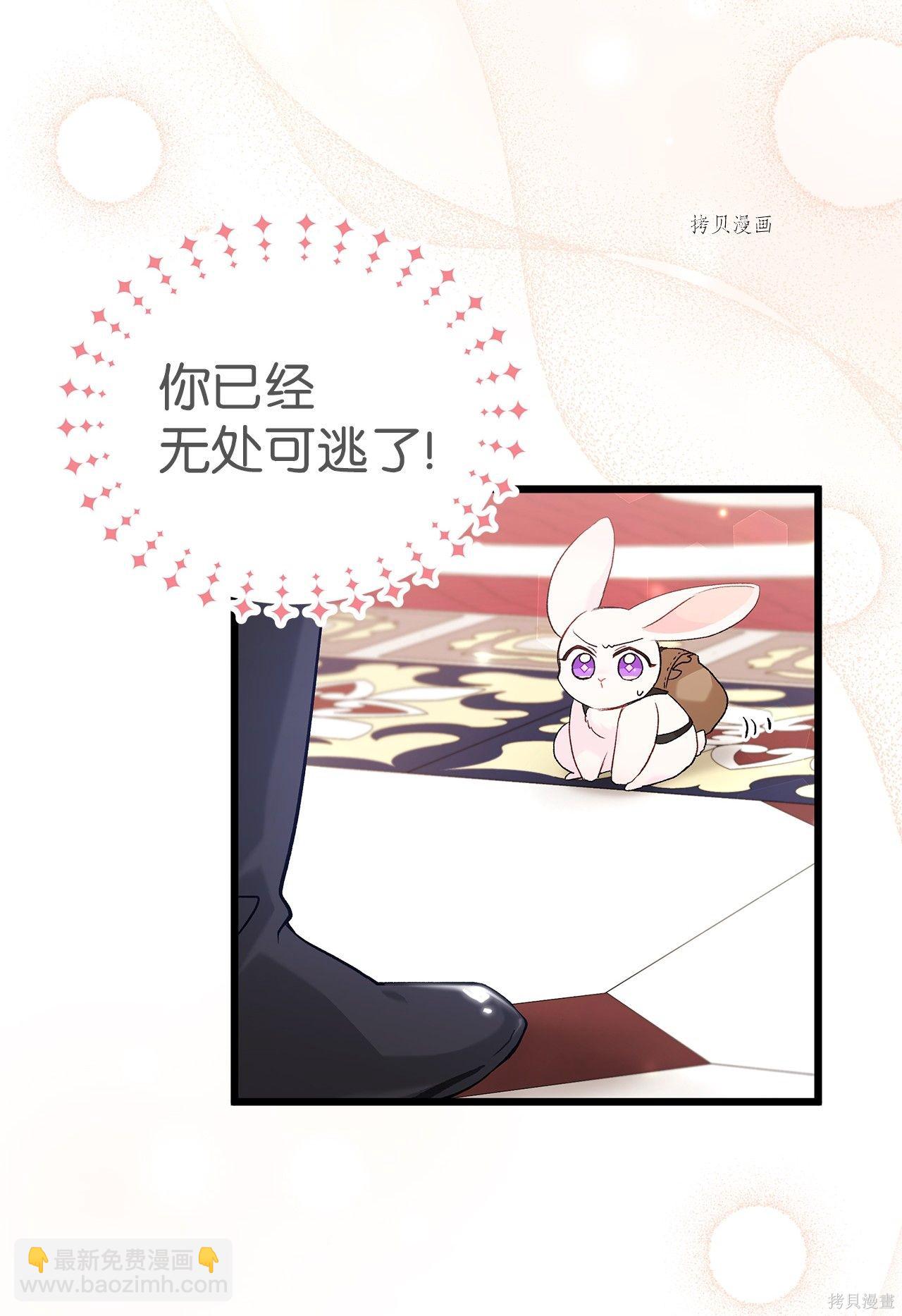 兔子與黑豹的共生關係 - 第59話(2/2) - 5