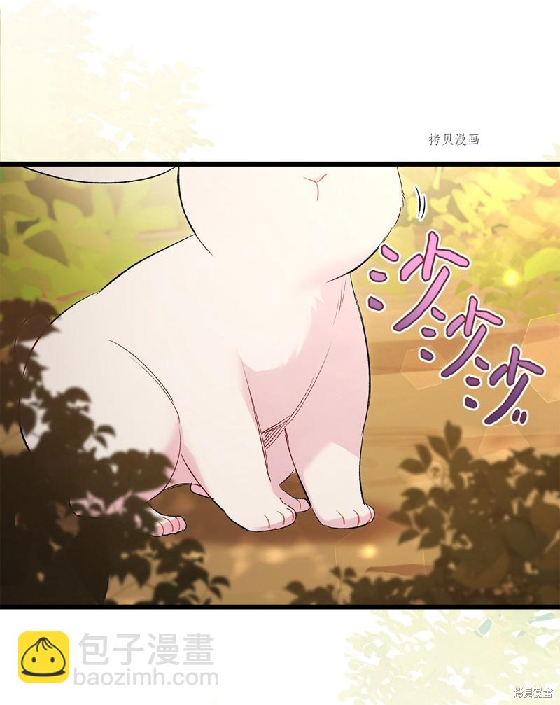 兔子與黑豹的共生關係 - 第81話(1/3) - 3