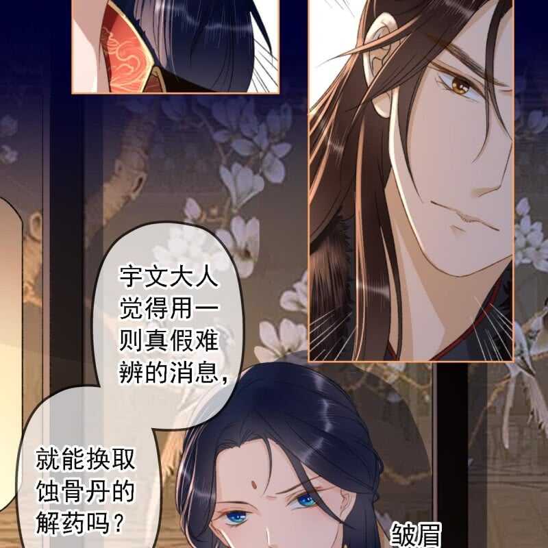 王的寵妃 - 第151話 凝生(1/2) - 6