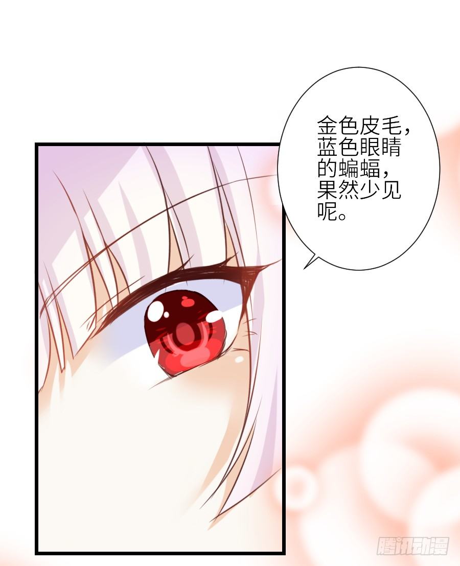 哥哥养你一辈子(1/2)-第27话